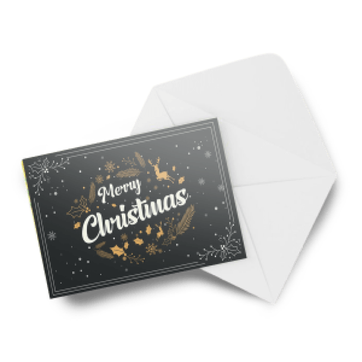 Invitations / Announcements - 14pt + Matte Finish - product view 1