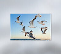 Canvas Roll - 15 mil Canvas Roll - product view 1